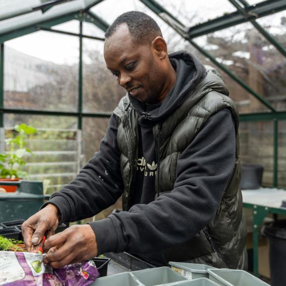 Man planting pots in greenhouse